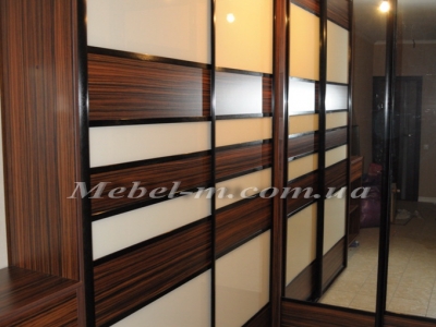 Шкаф купе система комбинированная