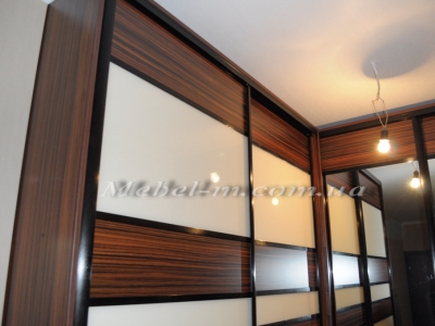 Шкаф купе система комбинированная