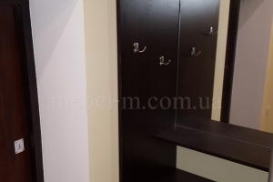 Шкаф-купе в прихожую