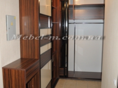 Шкаф купе система комбинированная