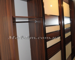 Шкаф купе система комбинированная