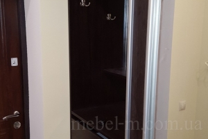 Шкаф-купе в прихожую