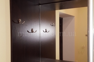 Шкаф-купе в прихожую