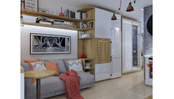 Smart ( смарт ) квартира 19 м2- интерьер