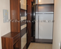 Шкаф купе система комбинированная